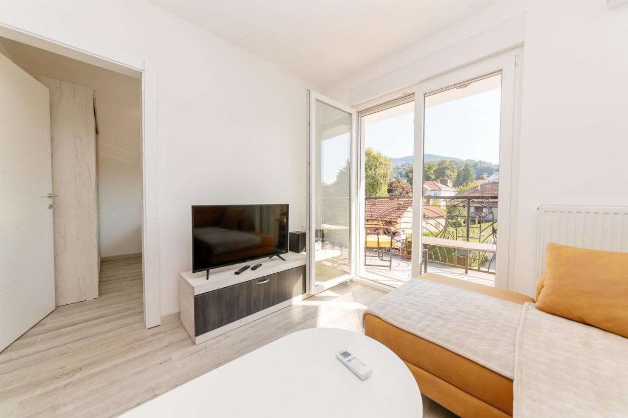 Apartman Jovana Banja Koviljaca Exterior photo